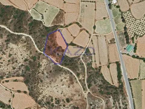 Large Touristic Field for Sale in Pissouri Area (Right of Way) - Main Photo