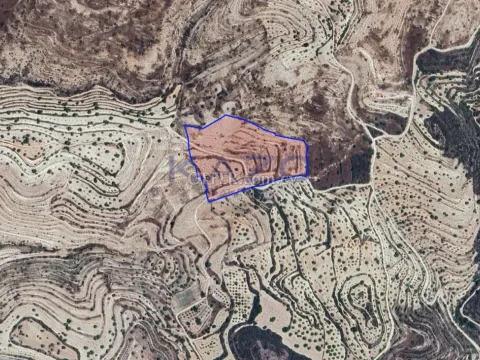 Large Field for Sale in Green Fasoula 36121m2 (Landlocked) - Main Photo