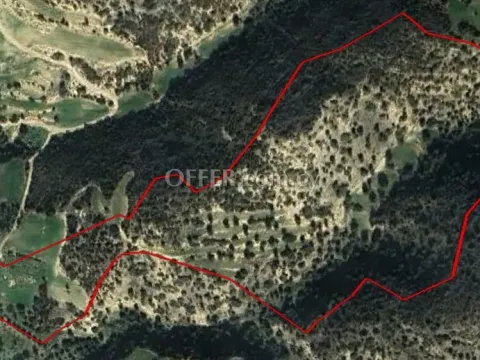 (Agricultural) in Agios Theodoros, Larnaca for Sale - Main Photo