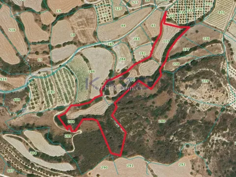 Large 21012m2 Field for Sale in Pissouri (Right of Way) - Main Photo
