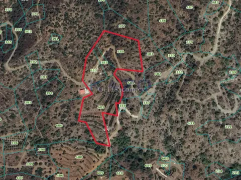 Large 19660m2 Field with 300 Trees and 2 Bedroom House in Green Arakapas - Main Photo