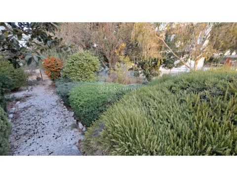 Huge villa Paramytha near the Heritage school Limassol Cyprus - 10