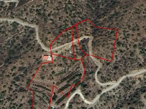  (Agricultural) in Arakapas, Limassol for Sale - Main Photo