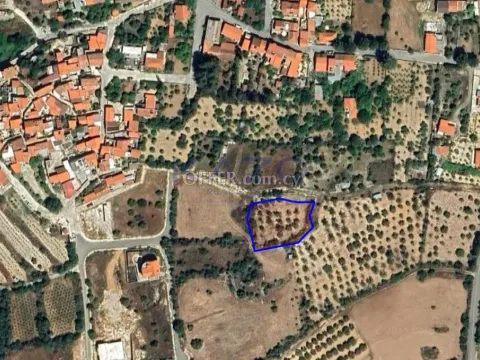 Large Field Plot 1338 m2 for Sale in Doros - Main Photo