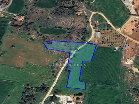 (Agricultural) in Paralimni, Famagusta for Sale - Main Photo