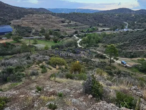 Spacious Field Plot for Sale in Asgata Village - Main Photo