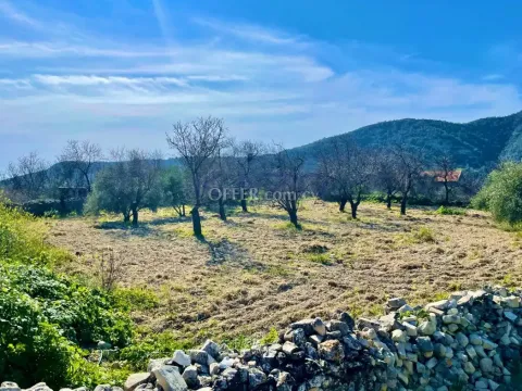 Large Field Plot 1338 m2 for Sale in Doros - 2