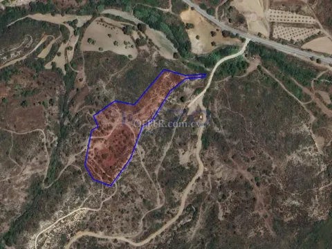 Spacious Field Plot for Sale in Asgata Village - 4