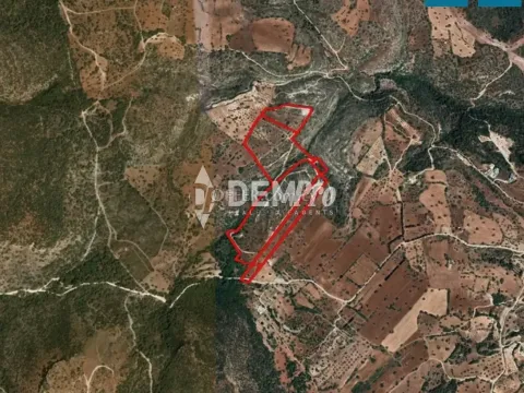 Residential Land  For Sale in Polis, Paphos - DP5334