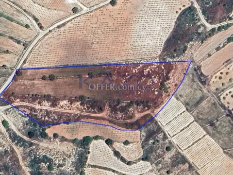Large 14047 m2 Field for Sale in Pachna (Landlocked) - Main Photo