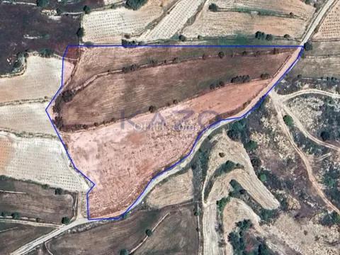 Spacious Field for Sale in Peaceful Pachna (Landlocked) - Main Photo