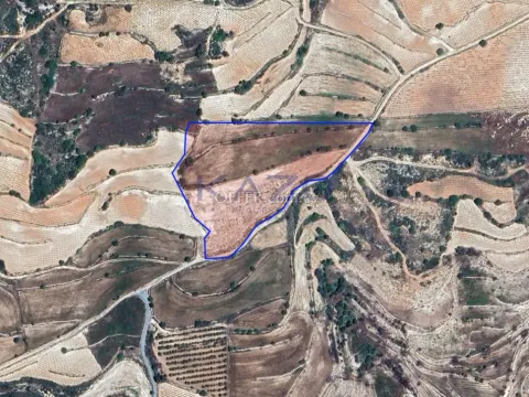 Spacious Field for Sale in Peaceful Pachna (Landlocked) - 3