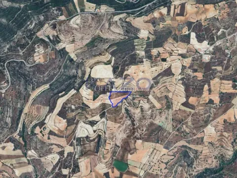 Spacious Field for Sale in Peaceful Pachna (Landlocked) - 2