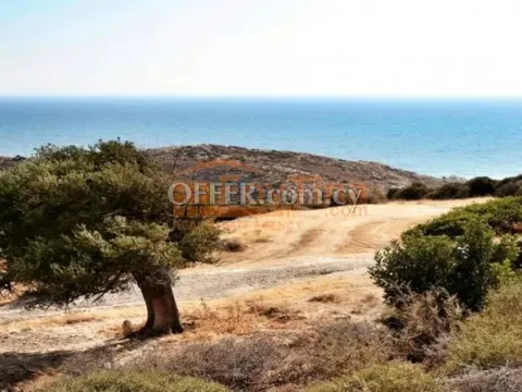 Land Parcel 95059 sm in Pissouri, Limassol - Main Photo