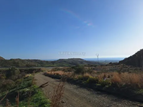 Field for sale in Anarita, Paphos - Main Photo