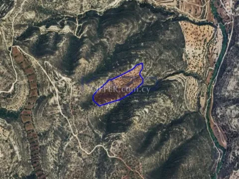 Large Field Plot for Sale in Palodeia Area (Landlocked) - Main Photo