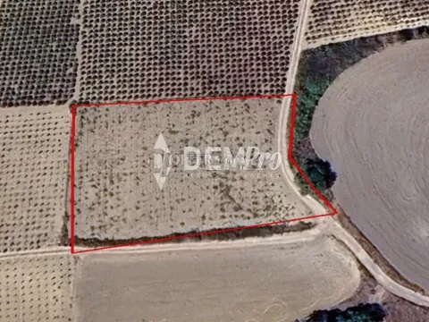 Agricultural Land For Sale in Polemi, Paphos - DP5223 - Main Photo