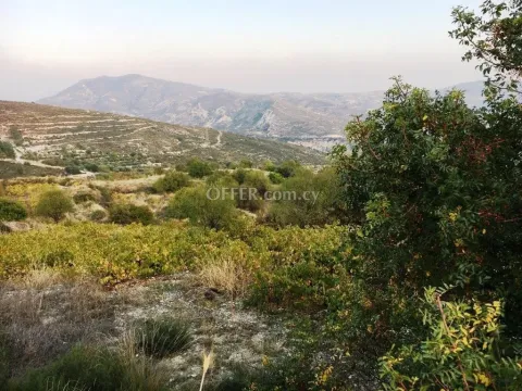 Agricultural Field for sale in Silikou, Limassol - Main Photo