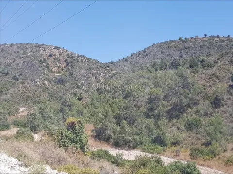 Field for sale in Moni, Limassol - Main Photo