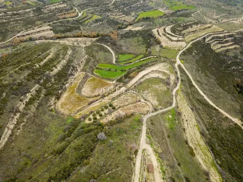 Agricultural Field for sale in Pachna, Limassol - Main Photo