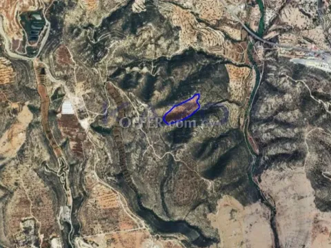 Large Field Plot for Sale in Palodeia Area (Landlocked) - 2