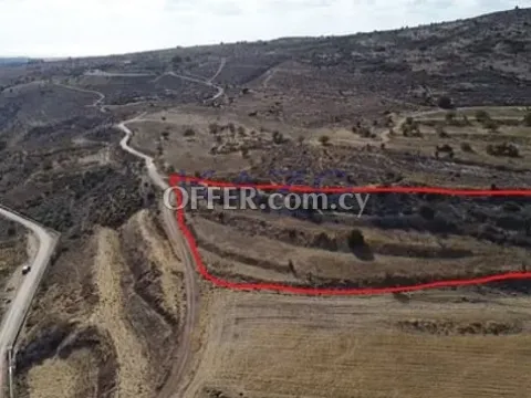 Large Field For Sale in Peaceful Agia Varvara - 4