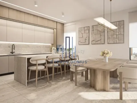 New Penthouse With Roof Garden & Swimming Pool In Agios Athanasios Area - 8
