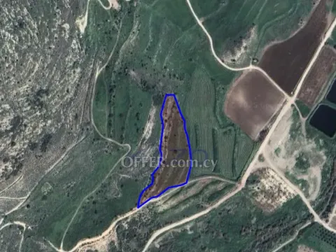 Large Field For Sale in Peaceful Agia Varvara - 2