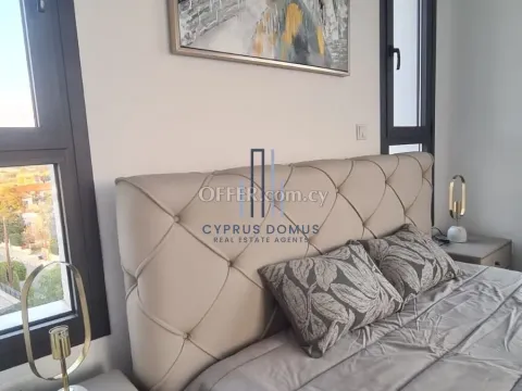 New Modern Penthouse In Parekklisia - 2