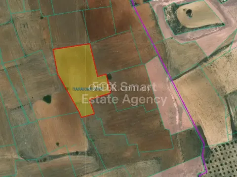 Land, Agricultural Land, Nicosia, Palaiometocho, 4,500m² - Main Photo