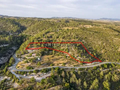 Agricultural Field for sale in Agios Therapon, Limassol - Main Photo