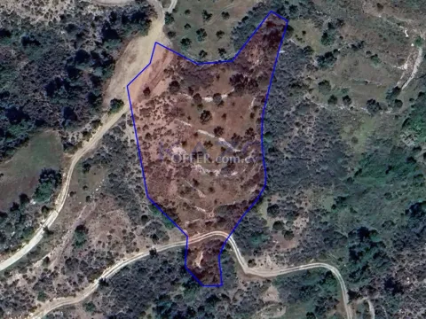 Large Sea View Plot for Sale in Kynousa - 10