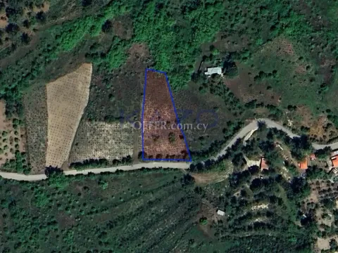 Residential Field Plot 2007 m2 in Sunny Mandria (Public Road) - 3