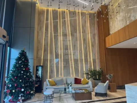 Modern three bedroom apartment for rent in Nicosia City Center - 9