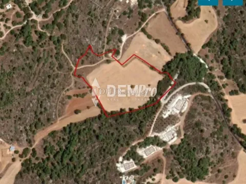 Agricultural Land For Sale in Lysos, Paphos - DP5346 - Main Photo