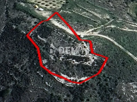 Residential Land  For Sale in Marathounta, Paphos - DP5296 - Main Photo