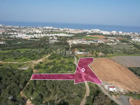 Tourist Field in Protaras