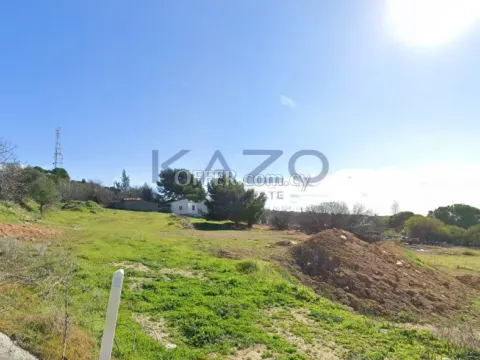 Exceptional Residential Field in Pachna, 6,386m² (Zone H4) - 3