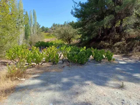 Residential Field for sale in Agridia, Limassol - Main Photo