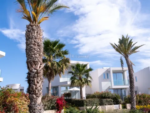 3 Bed Detached Villa for sale in Peyia, Paphos - Main Photo