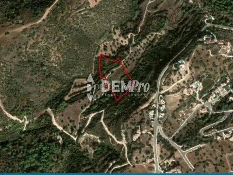 Agricultural Land For Sale in Neo Chorio, Paphos - DP5329 - Main Photo