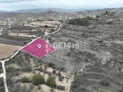 Agricultural Land For Sale in Giolou, Paphos - DP3869 - Main Photo