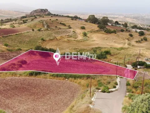 Agricultural Land For Sale in Droushia, Paphos - DP3566 - Main Photo