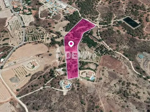 Agricultural Land For Sale in Makounta, Paphos - DP3485 - Main Photo