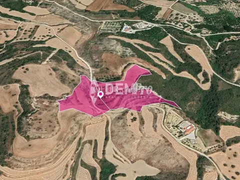 Agricultural Land For Sale in Skoulli, Paphos - DP3319 - Main Photo