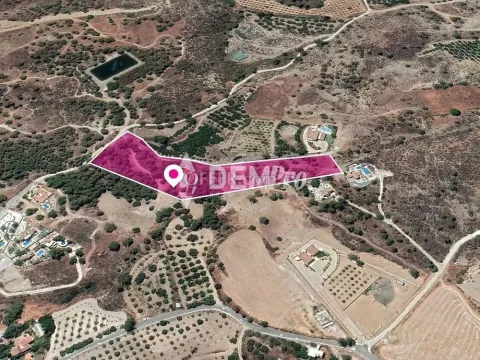 Agricultural Land For Sale in Makounta, Paphos - DP3289 - Main Photo