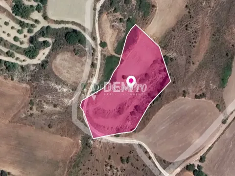 Agricultural Land For Sale in Lasa, Paphos - DP3263 - Main Photo