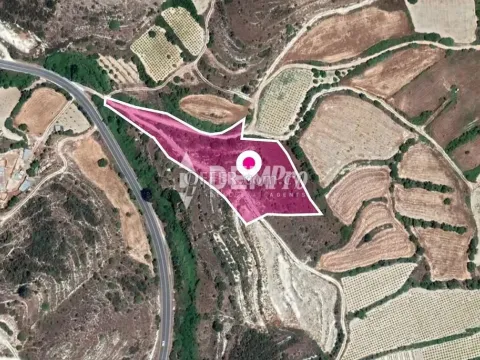Agricultural Land For Sale in Stroumbi, Paphos - DP3257 - Main Photo