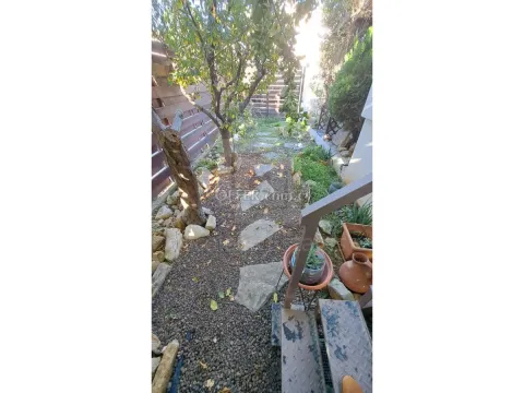 Spacious garden flat Ayios Athanasios Limassol Cyprus - 7