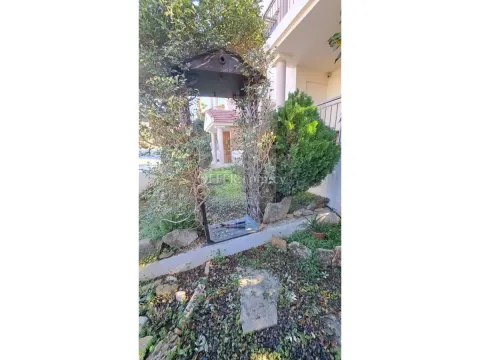 Spacious garden flat Ayios Athanasios Limassol Cyprus - 5